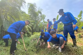 Chiến dịch Thanh niên tình nguyện hè: Hướng đến vùng khó khăn