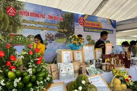 Đắk Lắk mang đến Festival trái cây và sản phẩm OCOP năm 2022 những sản phẩm, đặc sản nào?