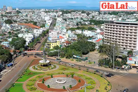 Tin tưởng Gia Lai vững bước đi lên