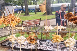 Gia Lai tham gia ngày hội du lịch TP. Hồ Chí Minh lần thứ 18