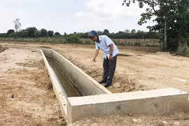 Tín hiệu vui từ cánh đồng Ia Mơr