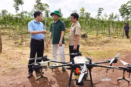 Ứng dụng khoa học-công nghệ: "Chìa khóa" của nền nông nghiệp hiện đại