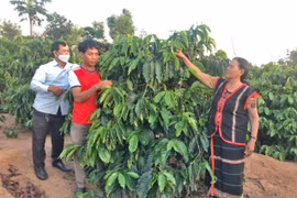 Đổi thay ở làng tái định cư