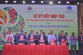 Cơ hội mở rộng vùng nguyên liệu cho doanh nghiệp