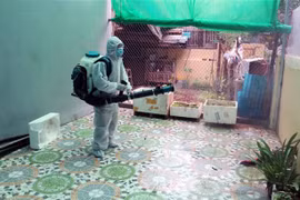 Đà Nẵng: Báo động xuất hiện nhiều ổ bệnh sốt xuất huyết