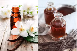 7 lợi ích sức khỏe của dầu vani