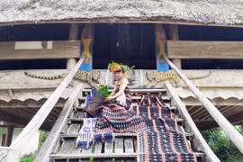 Kể chuyện núi rừng