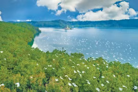 Những ngân rung từ một vùng đất