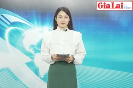 Gia Lai 48h: Xuất khẩu nông sản Gia Lai kỳ vọng tăng trưởng mạnh