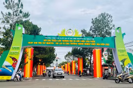 Hội chợ triển lãm thương mại và giới thiệu sản phẩm OCOP: Đa dạng gian hàng, phong phú sản phẩm