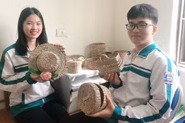 Khi cây sả và khoai nước biến hình