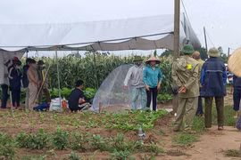 Hải Dương: Tìm thấy thi thể 3 mẹ con nữ giáo viên trên sông Thái Bình
