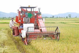 Gia Lai ổn định đời sống người dân sau ngày giải phóng