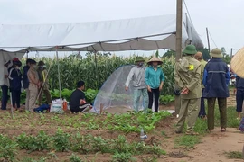 Hải Dương: Tìm thấy thi thể 3 mẹ con nữ giáo viên trên sông Thái Bình