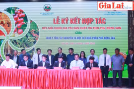 Sẻ chia kinh nghiệm kết nối chuỗi giá trị nông sản