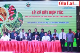 Sẻ chia kinh nghiệm kết nối chuỗi giá trị nông sản