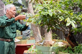 Nguyễn Văn Hải: Cựu chiến binh năng động, sáng tạo