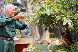 Nguyễn Văn Hải: Cựu chiến binh năng động, sáng tạo