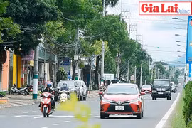 Khởi sắc những vùng kinh tế mới