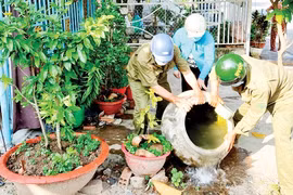 Dịch sốt xuất huyết diễn biến phức tạp tại các tỉnh thành phía Nam