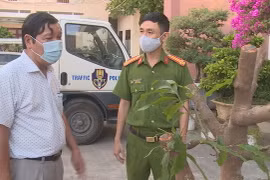 Bình Định: Thuê người đào trộm cây mai với giá "hậu hĩnh", người đàn ông 62 tuổi bị khởi tố