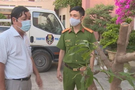 Bình Định: Thuê người đào trộm cây mai với giá "hậu hĩnh", người đàn ông 62 tuổi bị khởi tố
