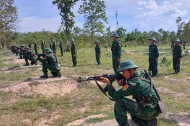 Trưởng thành nhờ vượt nắng, thắng mưa, say sưa luyện tập