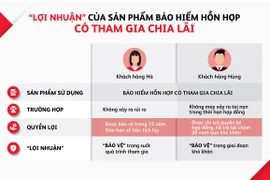 Câu chuyện lãi hay lỗ trong bảo hiểm nhân thọ