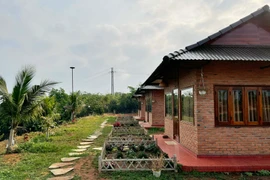 Farmstay vi phạm trong xây dựng: Tìm hướng xử lý hài hòa