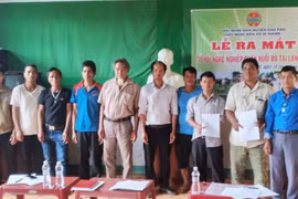 Chư Păh ra mắt Tổ hội nghề nghiệp chăn nuôi bò