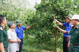 Dọc miền biên ải: Những 'hạt giống đỏ'