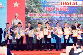 Thủ tướng Chính phủ Phạm Minh Chính: Các bộ, ngành phải đồng hành với Gia Lai trong thu hút đầu tư