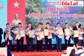 Thủ tướng Chính phủ Phạm Minh Chính: Các bộ, ngành phải đồng hành với Gia Lai trong thu hút đầu tư