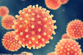 Bộ Y tế tiếp tục có chỉ đạo liên quan bệnh viêm gan cấp tính bí ẩn