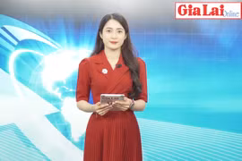 Gia Lai 48h: Chương trình OCOP: Cơ hội phát triển của hợp tác xã