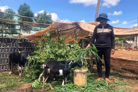 Tăng cường sự lãnh đạo của cấp ủy các cấp về thay đổi nếp nghĩ, cách làm trong đồng bào dân tộc thiểu số