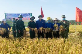 Người Jrai xã biên giới Ia Púch "bén duyên" lúa nước