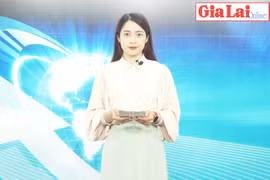 Gia Lai 48h: Khởi công Tổ hợp Nông nghiệp ứng dụng công nghệ cao DHN Gia Lai