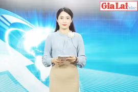 Gia Lai 48h: Bắt quả tang 2 đối tượng khai thác rừng trái phép tại huyện Krông Pa
