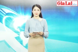 Gia Lai 48h: Bắt quả tang 2 đối tượng khai thác rừng trái phép tại huyện Krông Pa