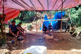 Kon Tum: Xác minh thông tin đào vàng trong Vườn Quốc gia Chư Mom Ray