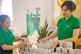 Chiến lược phát triển khoa học, công nghệ và đổi mới sáng tạo đến năm 2030