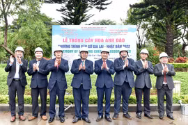 Gia Lai: Trồng cây hoa anh đào tại Bảo tàng tỉnh