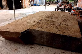 Thấy gỗ lớn dưới ruộng, dân xin phép xã khai thác: Bỏ 90 triệu vớt lên thì công an tạm giữ