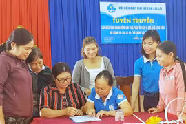 Gia Lai: Phấn đấu tăng 10% diện tích trồng trọt, cơ sở chăn nuôi được chứng nhận theo các tiêu chuẩn