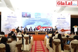 Gia Lai cam kết tạo mọi điều kiện cho doanh nghiệp Nhật Bản vào đầu tư