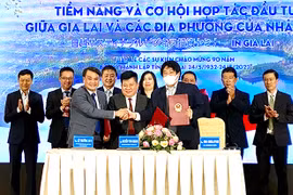 Nhiều ý tưởng táo bạo, độc đáo