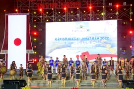 Giao lưu văn hóa nghệ thuật "Gặp gỡ Gia Lai-Nhật Bản" 2022
