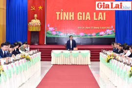 Gia Lai cần quyết tâm cải thiện môi trường đầu tư kinh doanh