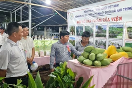 Khai mạc Ngày hội Nông sản huyện Hoài Ân, Bình Định